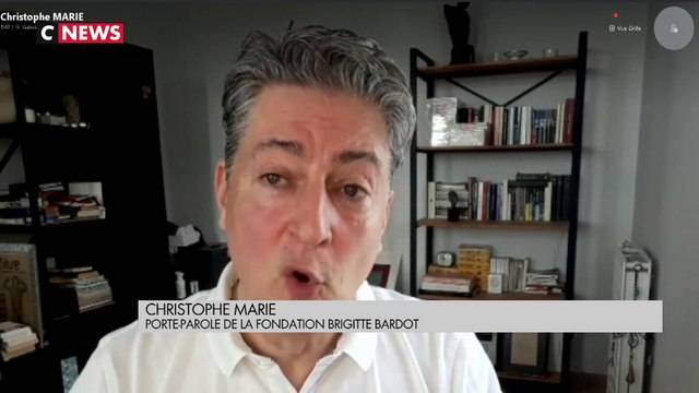 Accident mortel sur un terrain de chasse : Faut-il mieux encadrer cette pratique?