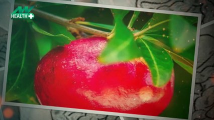 Health Tips : Pyorrhea की प्रॉब्लम होगी दूर, इन पत्तों को चबाने से हुजूर