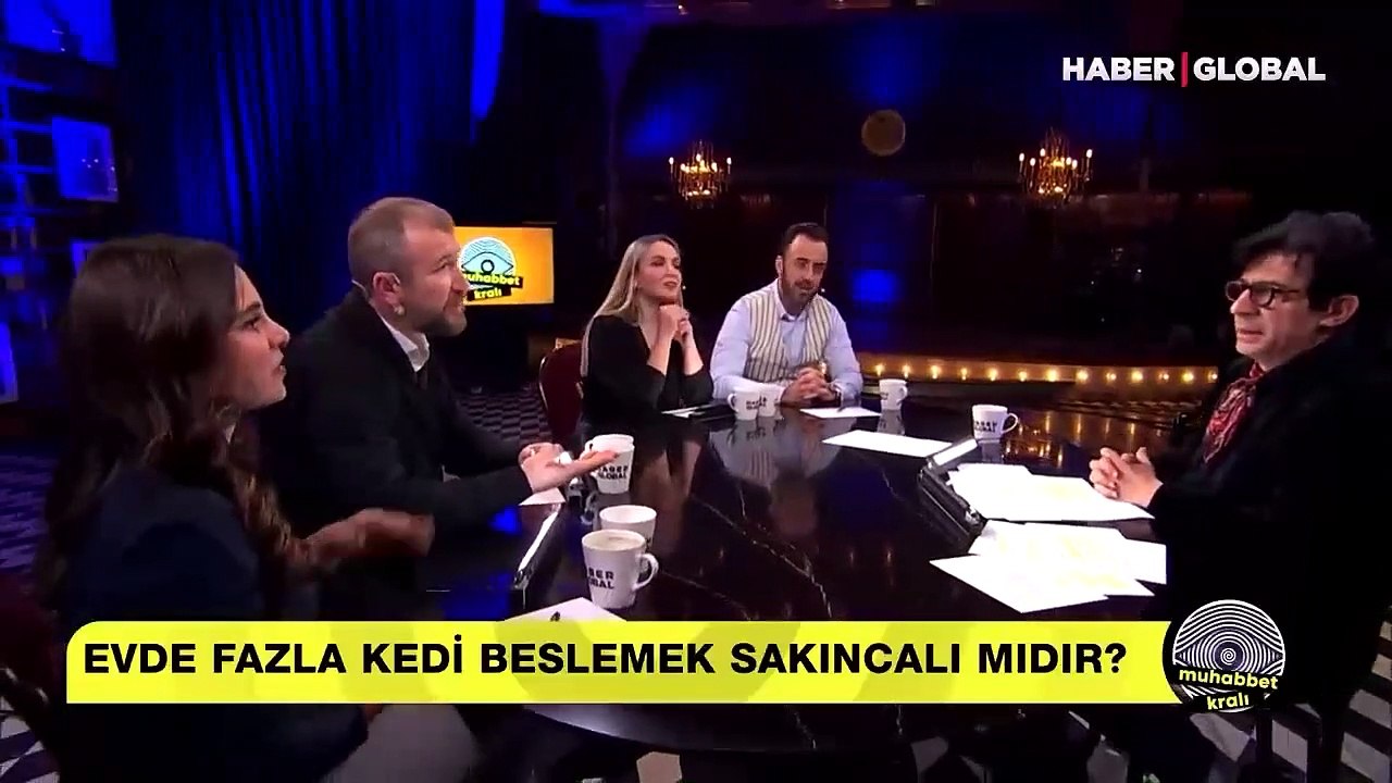 İsviçre'de tek kedi beslemek neden yasaklandı?