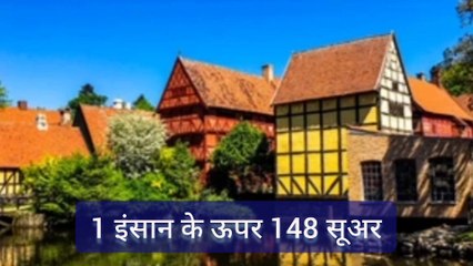 Amazing'facts about Denmark in Hindi#rarefacts#hindi#denmark#cycle#tej hawa