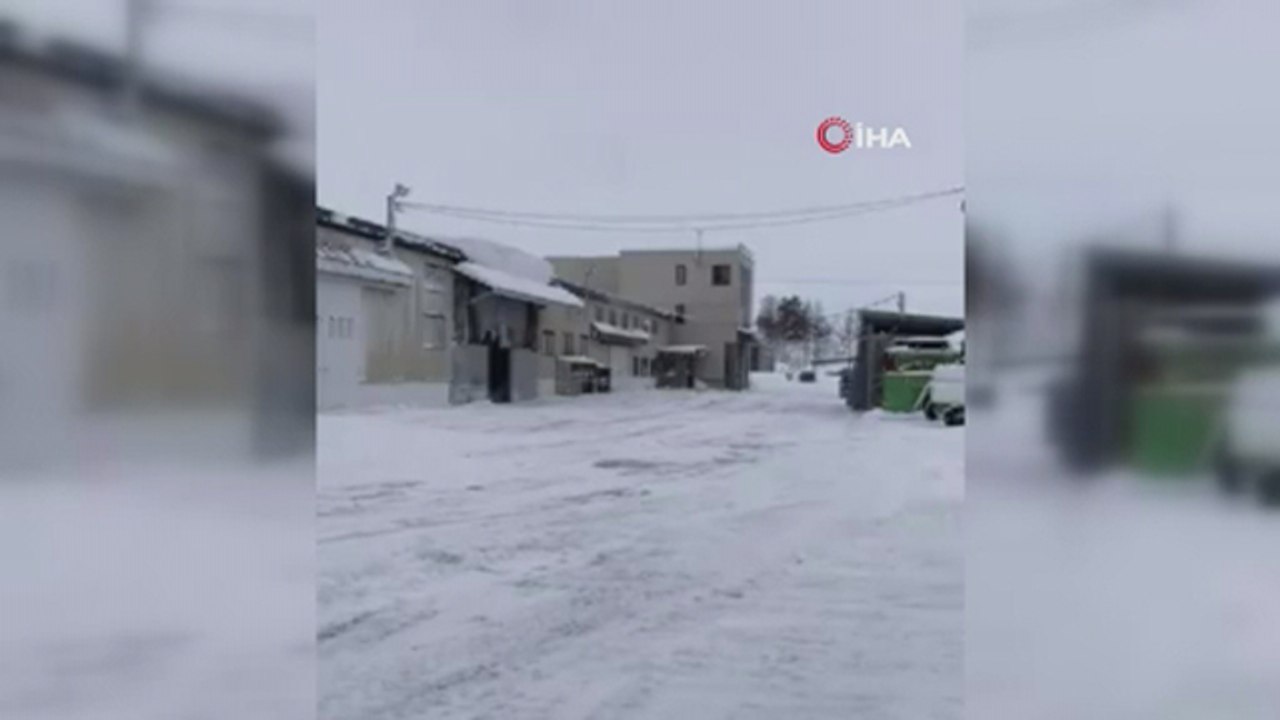Japonya’da şiddetli kar yağışı hayatı olumsuz etkiledi