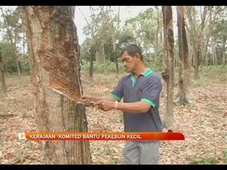 Kerajaan komited bantu pekebun kecil