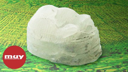 Fabrican plásticos sostenibles a partir de la madera como materia prima