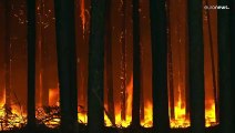 Incendios en Argentina | A pesar de la lluvia aún hay 8 focos activos