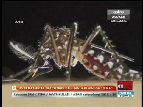 95 kes kematian akibat denggi bagi Januari-18 Mac