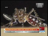 95 kes kematian akibat denggi bagi Januari-18 Mac