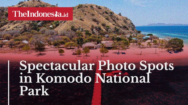 Spectacular Photo Spots in Komodo National Park