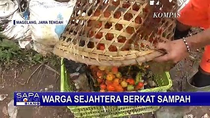 Kontribusi pada Lingkungan dan Ekonomi Sirkular, Desa Girikulon Magelang Terbiasa Memilah Sampah