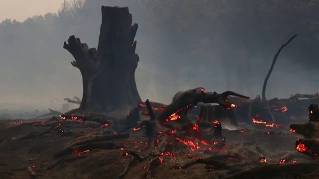 Un devastador incendio quema ya 800.000 hectáreas en Argentina