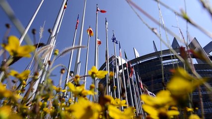 Aiuti di stato, dall'Ue nuovi orientamenti per start-up e pmi