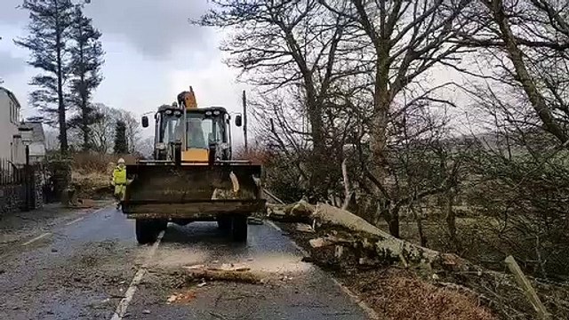 STORM FRANKLIN: Tree down on busy Inishowen Road, County Donegal