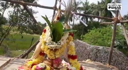 காளியம்மன் கோயில்  மகா கும்பாபிஷேகம்; பரவசத்தில் பக்தர்கள்!