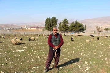 Kentten köye göç edip devlet desteğiyle çiftçilik yapıyorlar