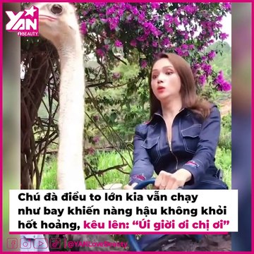 Thú Vui Mạo Hiểm Của Mỹ Nhân Việt: MC 3000 Chữ Khiến Fan Hú Hồn | Điện Ảnh Net