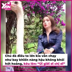 Thú Vui Mạo Hiểm Của Mỹ Nhân Việt: "MC 3000 Chữ" Khiến Fan Hú Hồn | Điện Ảnh Net