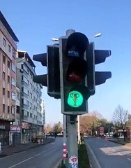 Trabzon'da şampiyonluk heyecanı trafik ışıklarında: 'O Sene, Bu Sene'