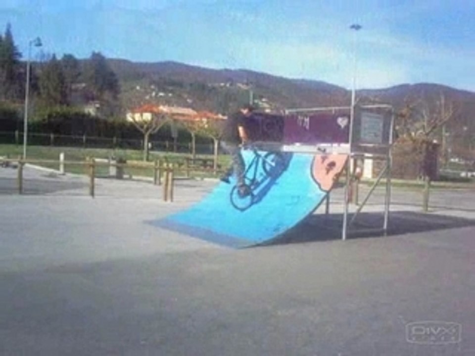 Dimanche en selle 2008