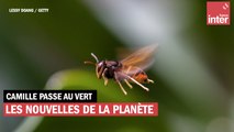 Les bonnes nouvelles de la planète du 18 février 2022