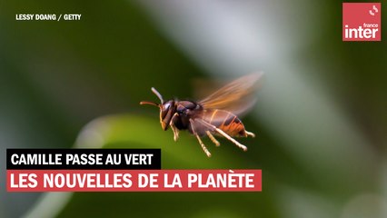 Les bonnes nouvelles de la planète du 18 février 2022