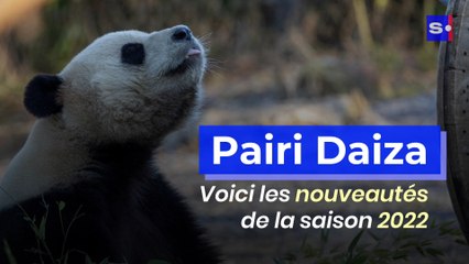Pairi Daiza : voici les nouveautés pour 2022