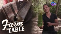Farm To Table: Chef JR Royol learns how to make Botolan, Zambales’ 'Buyo'