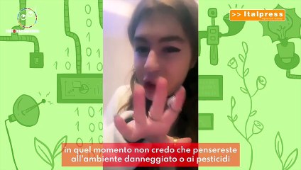 L'inquinamento da pesticidi è ovunque, anche nelle vongole...