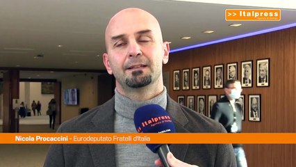 Migranti, Procaccini "Ministro socialista danese ci dà ragione"