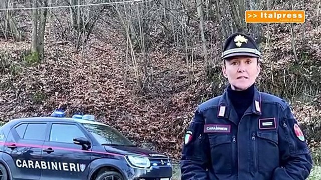 Peste suina, comandante forestale Stazzano Nessun pericolo per uomo