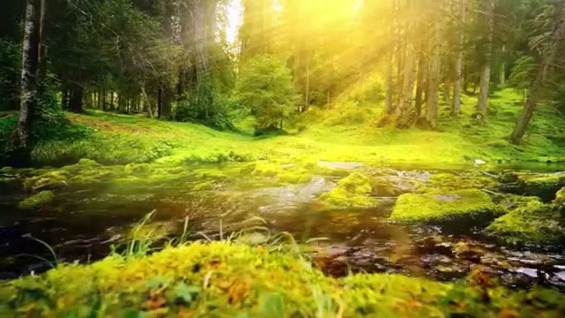 Relaxing Music Beautiful Piano Music, Background Music, Sleep Music