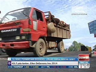 El-nino, permintaan biodiesel lonjak harga minyak sawit mentah