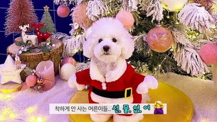 [심쿵내새끼] 착한 어른이들만 선물 줄거야