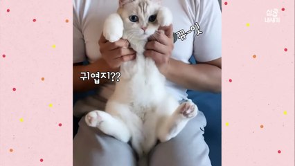 [심쿵내새끼] 어느날 갑자기 동생이 나타났다