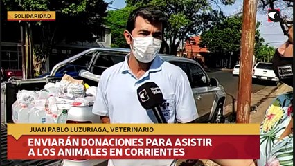 Enviarán donaciones para asistir a los animales en corrientes