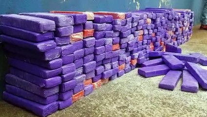 Criminosos escondem tabletes de maconha em meio a tripas de porco, mas Receita Federal realiza apreensão