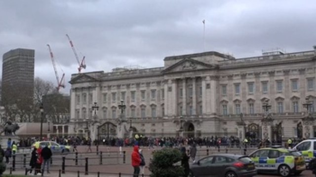 El tratamiento de Isabel II podría incluir antivirales, según medios locales