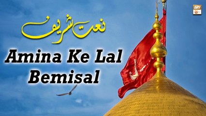 Amina Ke Lal Bemisal || Afza Naveed || Naat Sharif