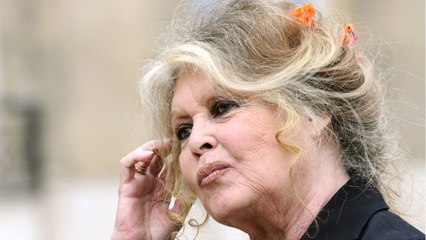 GALA VIDEO - Brigitte Bardot « profondément choquée " : son gros coup de gueule adressé à Éric Zemmour