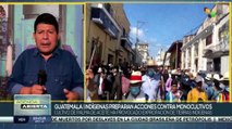 Guatemala: Comunidades Indígenas reorganizan lucha contra los monocultivos