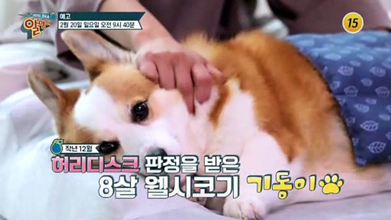 죽음의 문턱에서 돌아온 배연정의 당뇨 이기는 노하우_알맹이 165회 예고 TV CHO...
