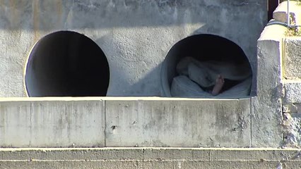 Vivir en la calle tras la pandemia