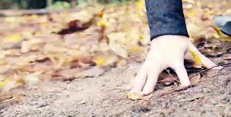 Novoland: The Castle in the Sky S02 E02