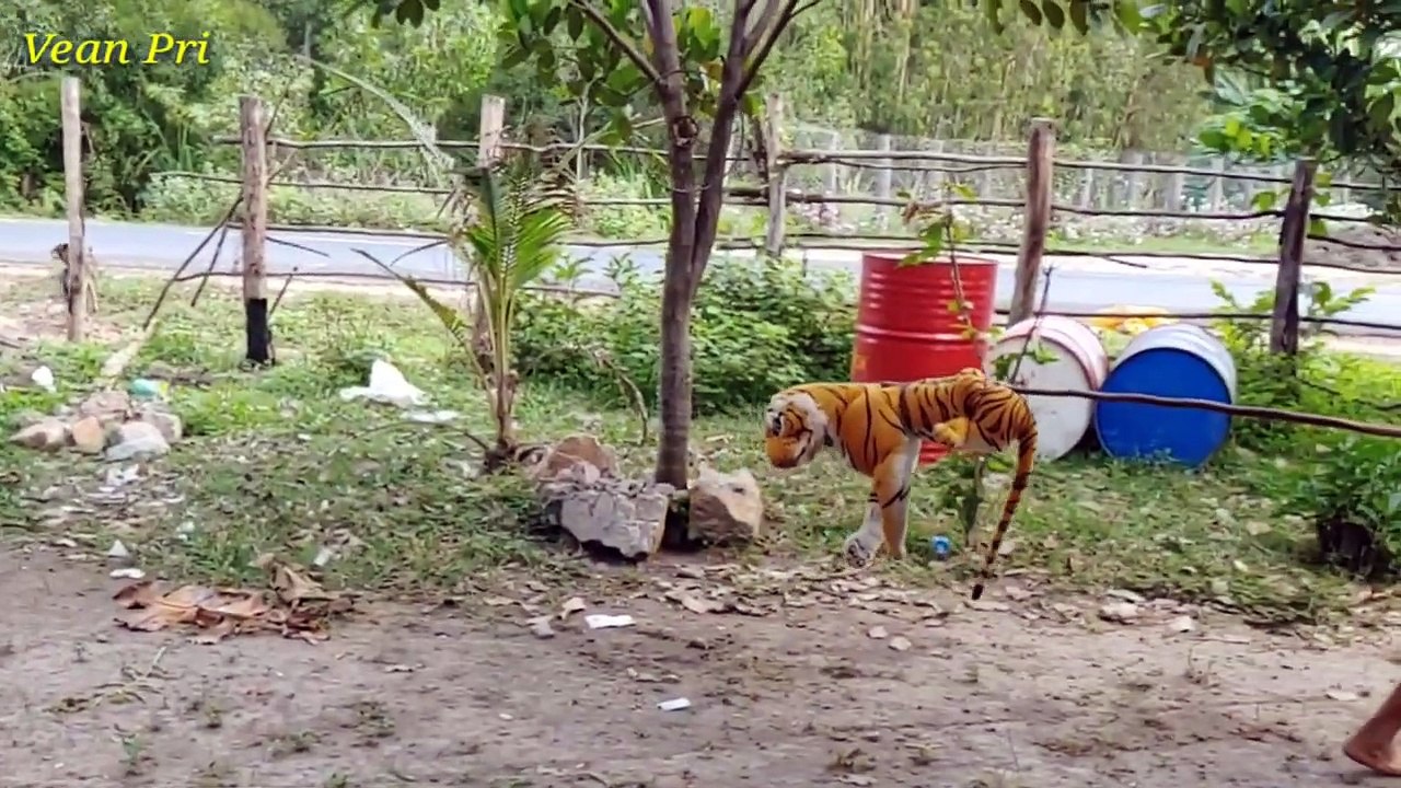 Funny animal prank video so funny video