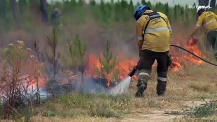 Download Video: Argentina, continua da giorni a bruciare la provincia di Corrientes