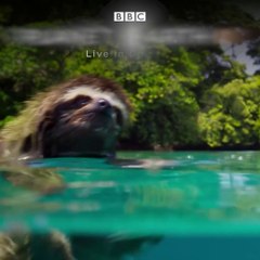 ZACH-21-02-22-Planet Earth II