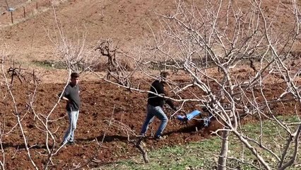 443 aile kentten kırsala göç ederek tarımsal üretime başladı