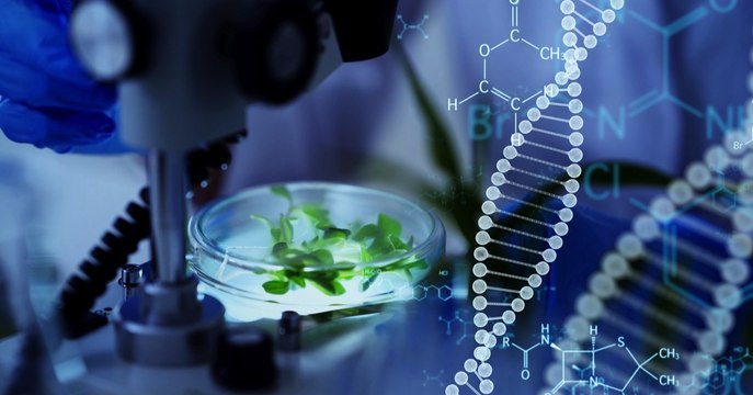 ¿Puede la biotecnología solucionar problemas medioambientales?