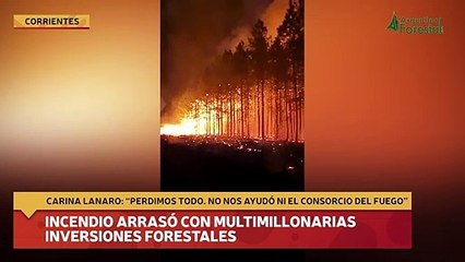 Incendio arrasó con multimillonarias inversiones forestales
