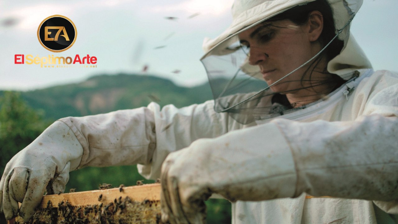 Hive (Colmena) - Tráiler español (HD)