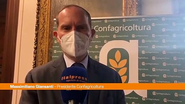 Agroalimentare, Giansanti Valorizzare la filiera del grano duro