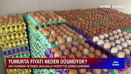 Yumurta fiyatı neden düşmüyor?